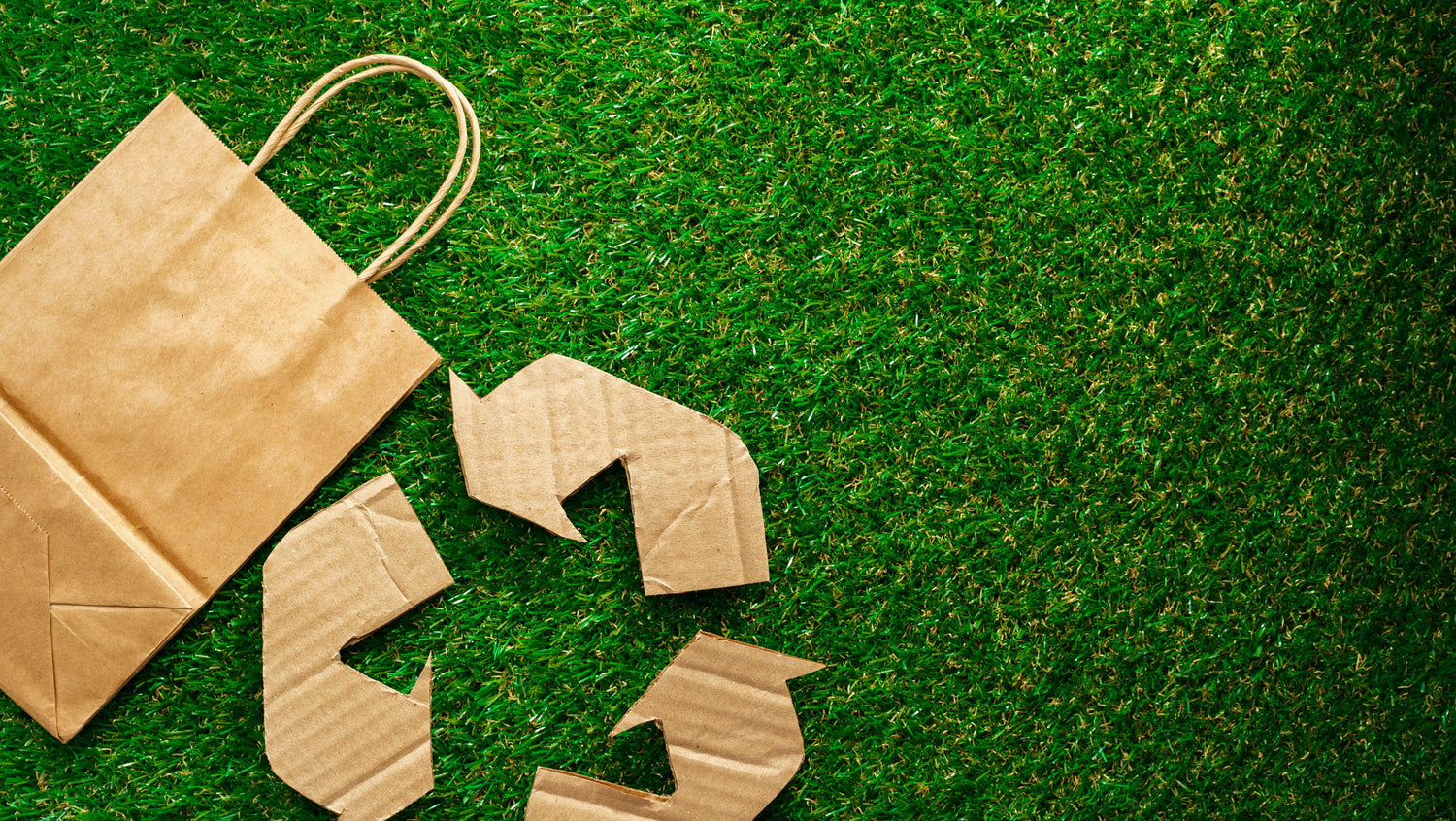 ♻️ Eco-Friendly Finds